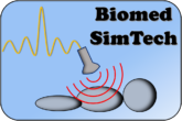 Biomedical Simulation Technologies